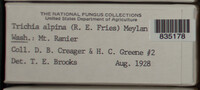 Image Associated With the Occurence
